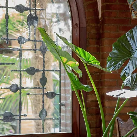 Ca' Delle Palme Casa de hóspedes Martellago
