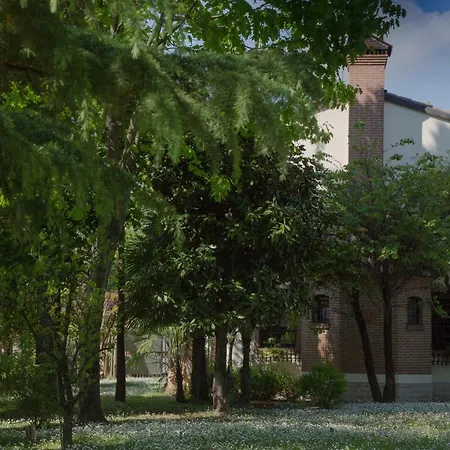 Ca' Delle Palme Pensión