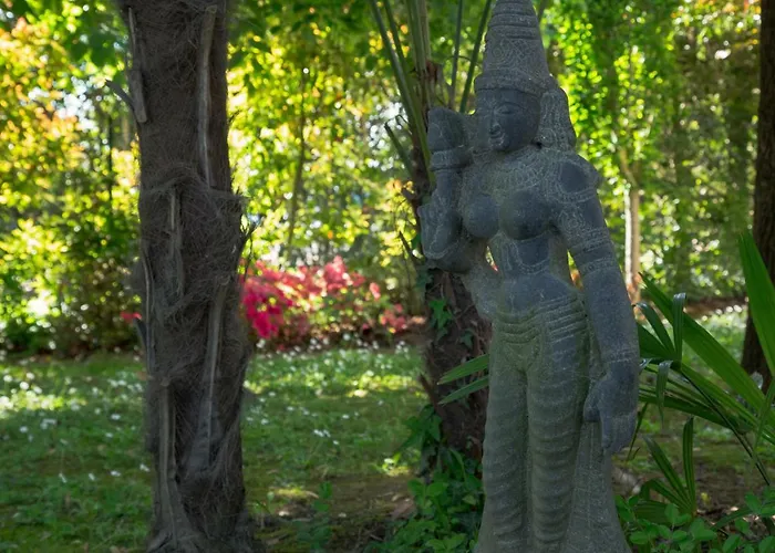 Affittacamere Ca' Delle Palme