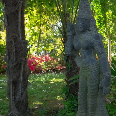 Konukevi Ca' Delle Palme