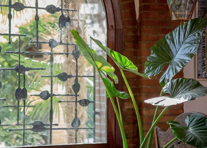 Ca' Delle Palme Affittacamere Martellago