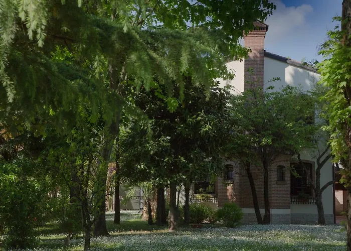 Ca' Delle Palme Affittacamere